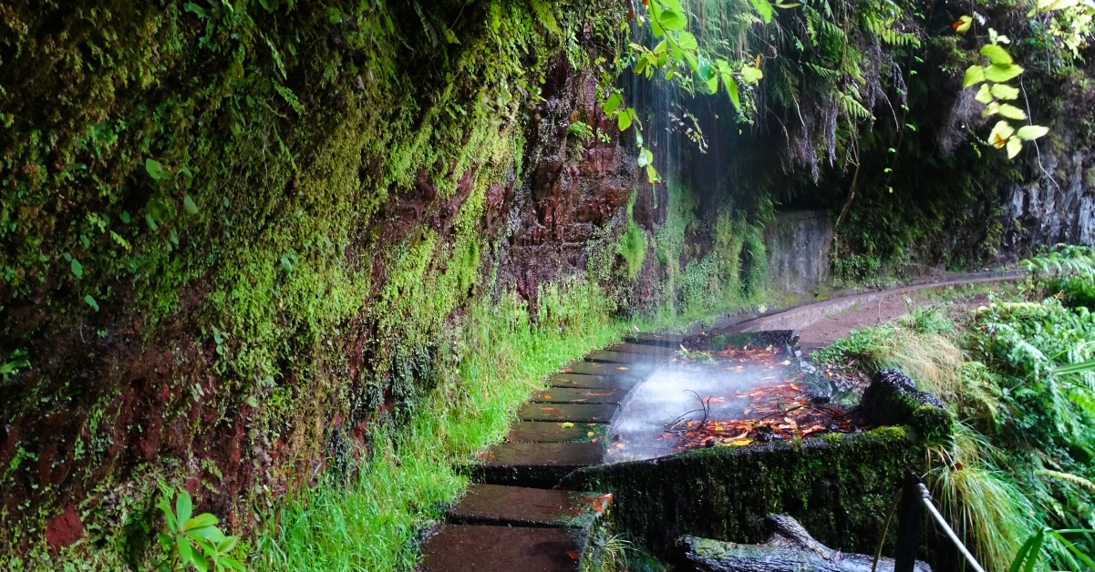 Levada do rei ''kings levada''